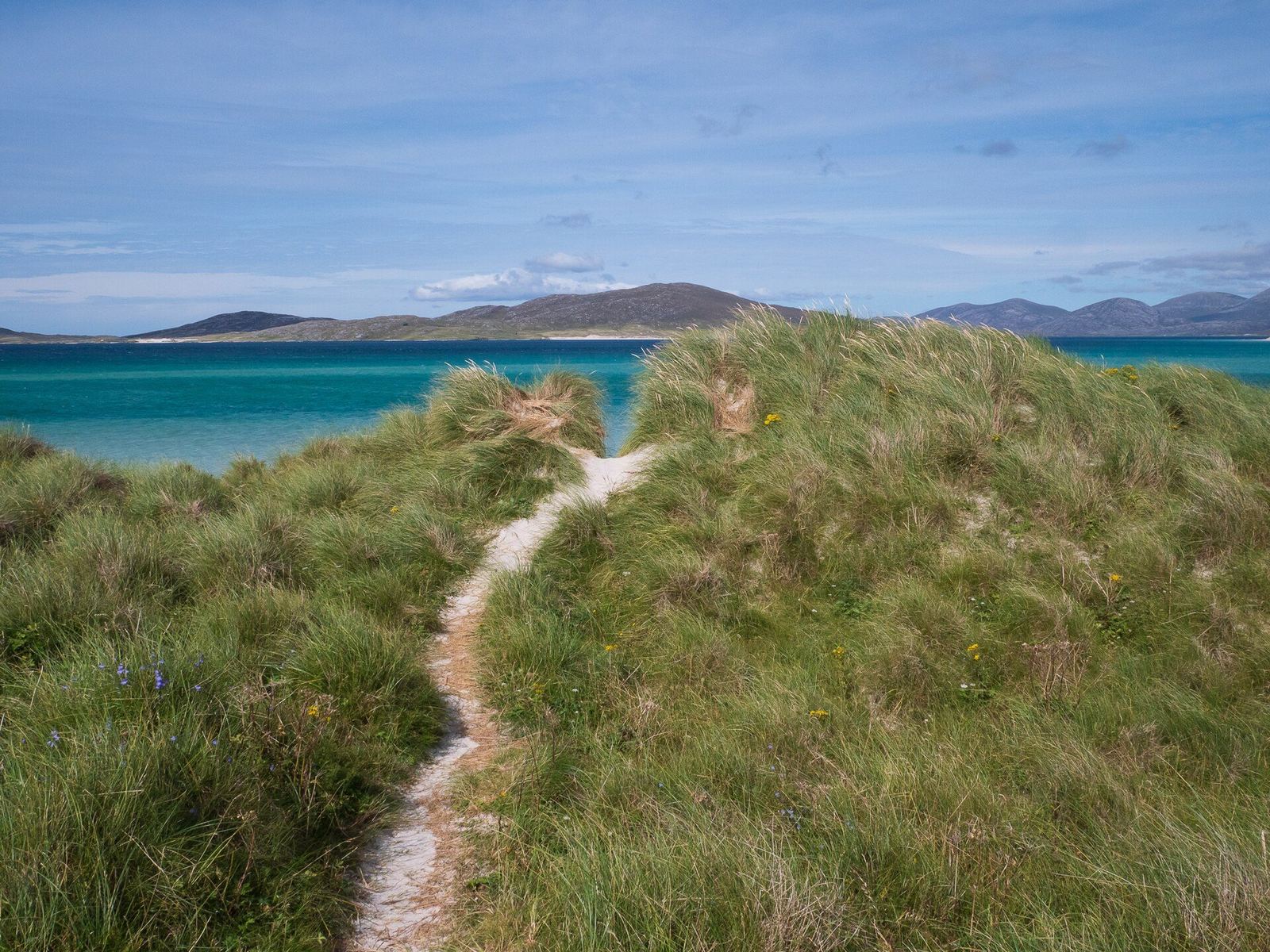 A sandy path through grassy dunes toward the sea